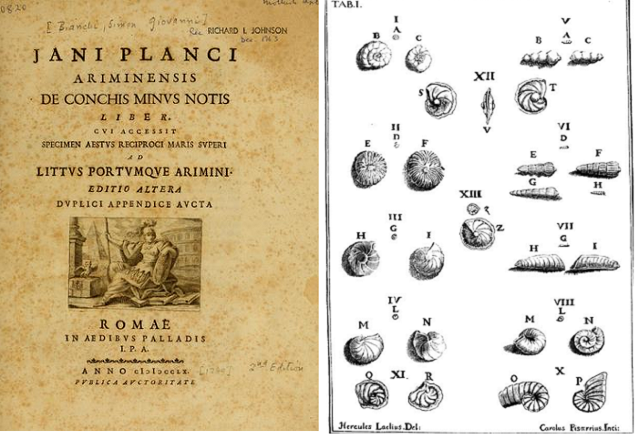 Cover of De conchis minus notis and foraminifera of Rimini’s seaside figured by Bianchi (1739, Table I) and attributed by the author to microscopic specimens of ‘Cornu Ammonis’. 